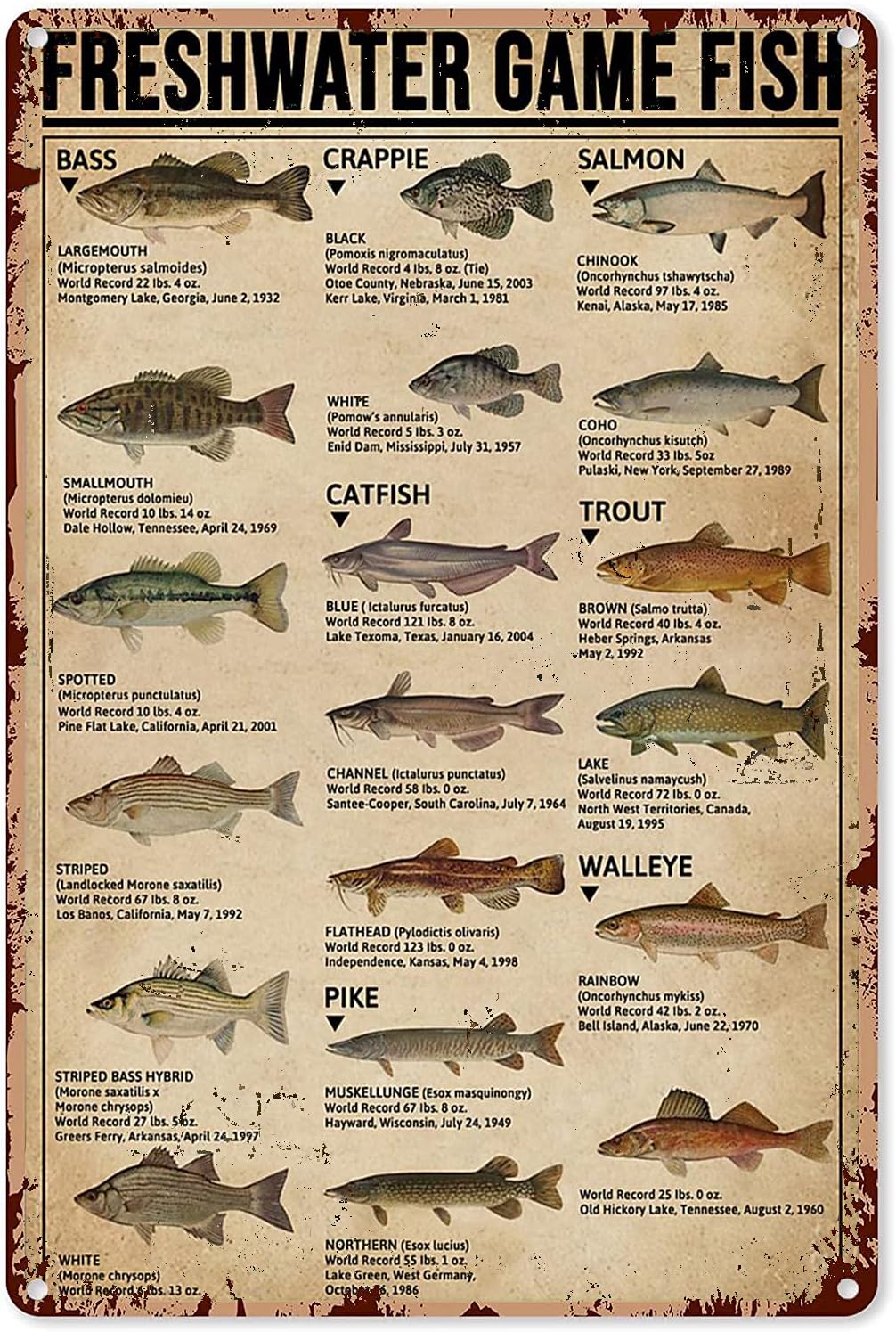 Y1,Fishing Art Posters Metal S - đánh giá và giá Retro Gaming Pictures